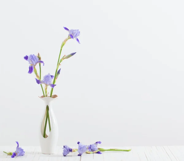 Csokor vázában, lila Iris tavaszi fehér — Stock Fotó