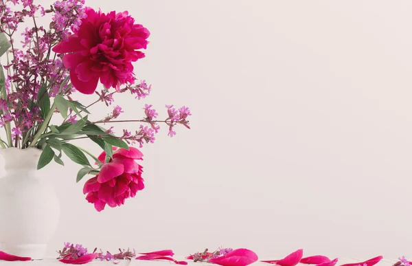 꽃병에 아름 다운 모란 — 스톡 사진