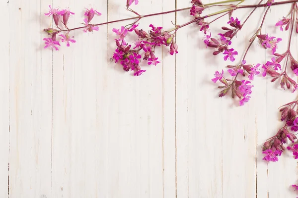 Rosa Blumen auf weißem Holzhintergrund — Stockfoto