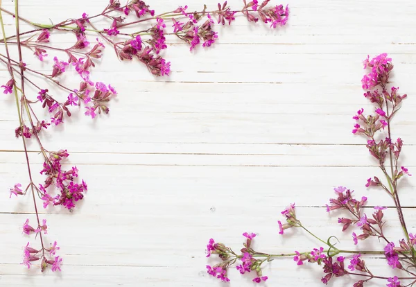 Beyaz ahşap zemin üzerinde pembe çiçekler — Stok fotoğraf