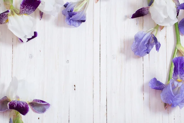 Iris on white wooden background — Stock Photo, Image