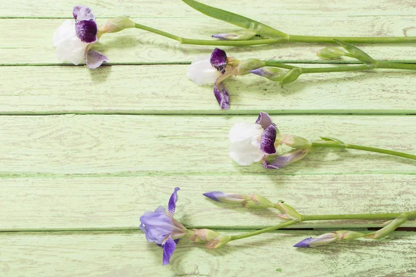 Iris sobre fondo azul de madera —  Fotos de Stock