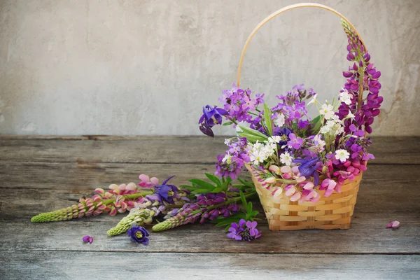 Stilleben med sommarblommor i korg — Stockfoto