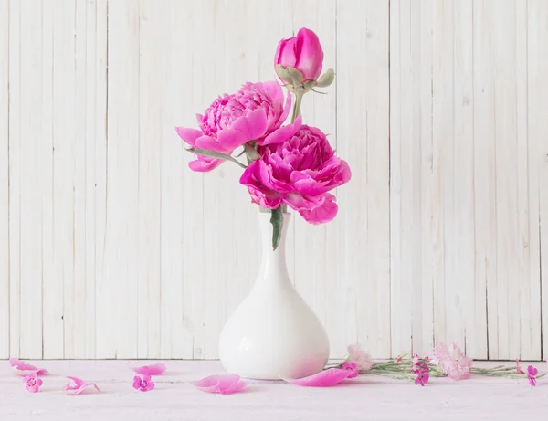 Beyaz arka plan üzerinde Vazoda Çiçekler Şakayık — Stok fotoğraf