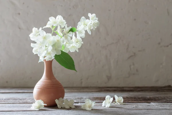 Жасминовые цветы в вазе на фоне старой стены — стоковое фото