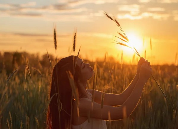 Beautiful brunette women in wheat field at sunset — Stock Photo, Image