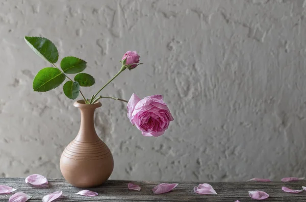 Rosas rosadas sobre fondo pared blanca vieja —  Fotos de Stock
