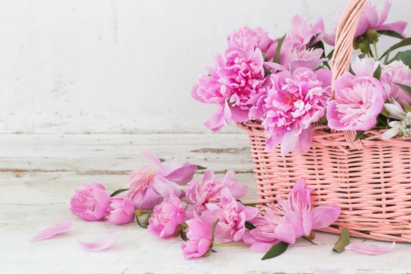 Pivoine rose dans le panier sur vieux fond blanc — Photo