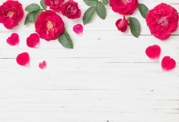 白い木の背景に赤いバラ — ストック写真