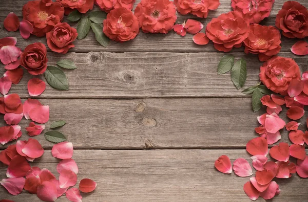 Rose rosse su sfondo di legno — Foto Stock