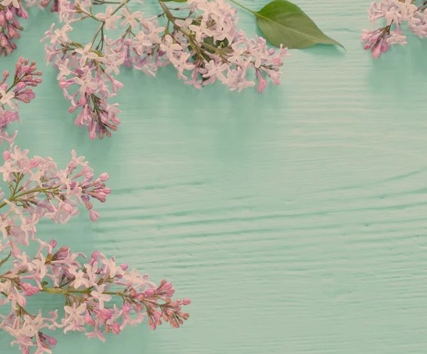 Piękny liliowy na niebieskim tle drewnianych — Zdjęcie stockowe