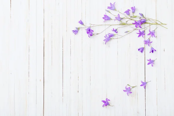 Bluebell flores om fondo de madera blanca —  Fotos de Stock