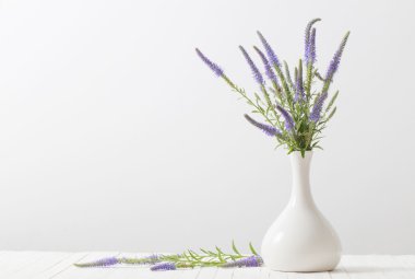 bir Vazoda beyaz zemin üzerine mavi çiçekler