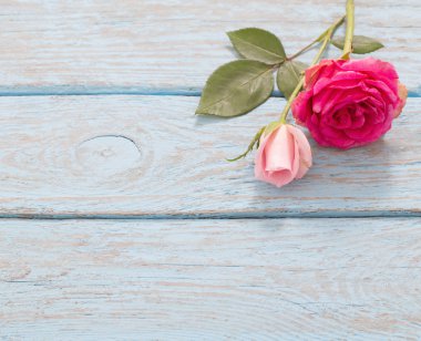 Mavi eski ahşap arka plan üzerinde güzel güller