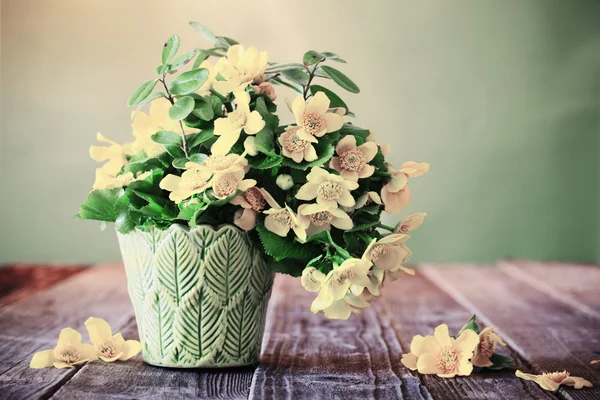 春に黄色の花のある静物 — ストック写真