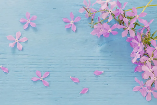 Flores de periwinkle sobre un fondo de madera — Foto de Stock