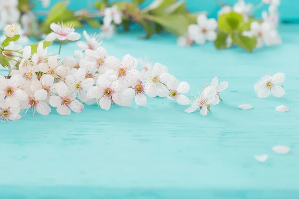 Fiori di ciliegia su uno sfondo di legno — Foto Stock