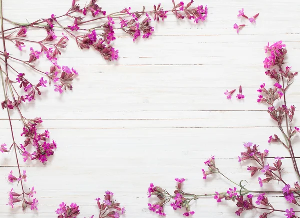 Rosa blommor på vit trä bakgrund — Stockfoto