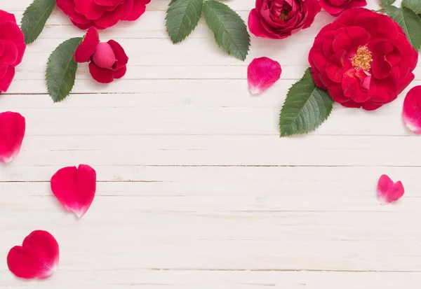 Red rose on white wooden background — Stock Photo, Image