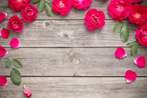 Czerwona róża na drewnianym tle — Zdjęcie stockowe