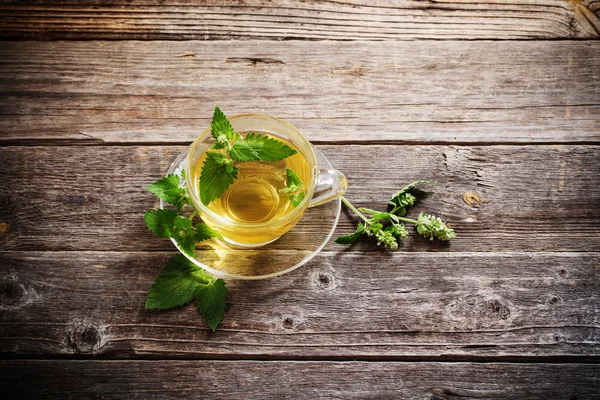 Green melissa herbal tea in glass cup on wooden background — Stock Photo, Image