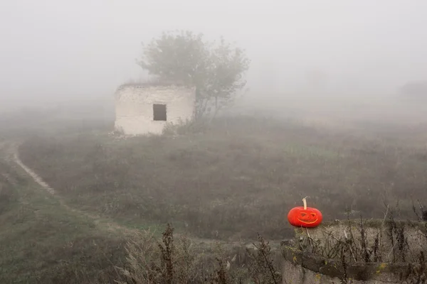 Halloween pumpkin in fog — Stock Photo, Image