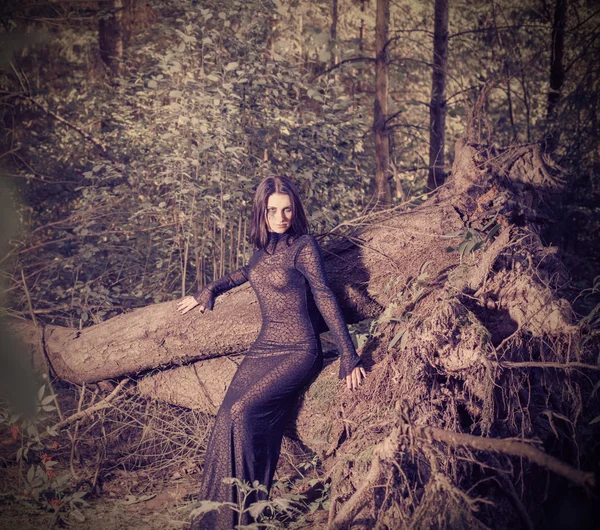 아름 다운 마녀는 신비한 숲에서 포즈 — 스톡 사진