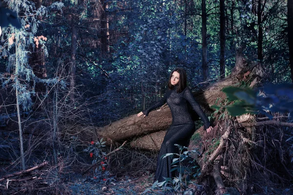 Schöne Hexe posiert in einem mystischen Wald — Stockfoto