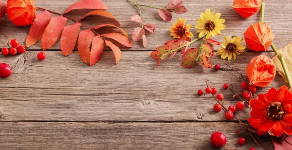 Hojas de otoño sobre fondo de madera — Foto de Stock