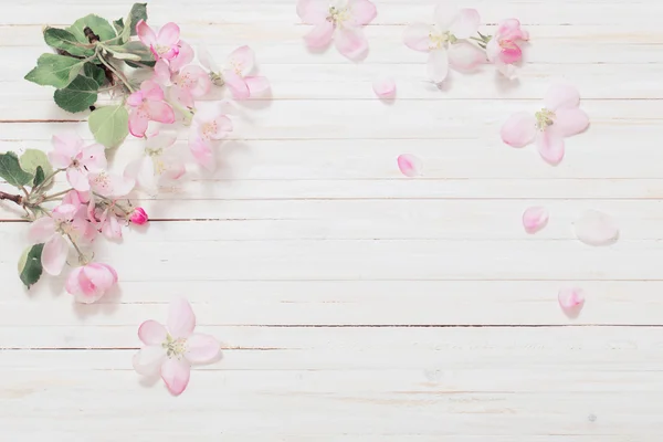 Apple bloemen op houten achtergrond — Stockfoto