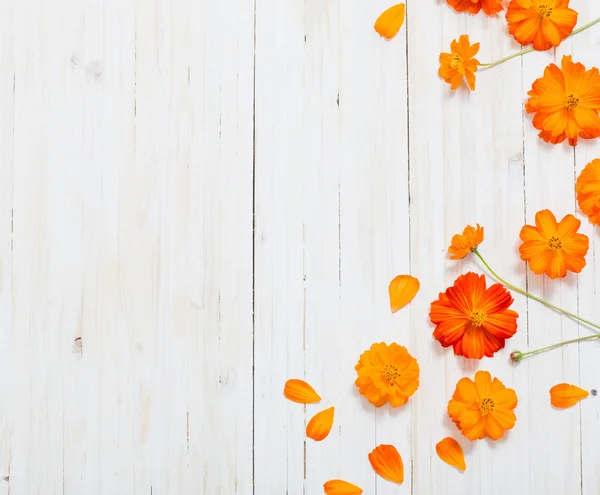 白色的木制背景上的橙色夏花 — 图库照片