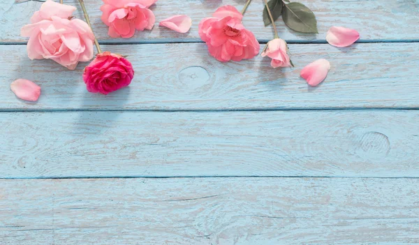 Hermosas rosas sobre fondo azul de madera vieja — Foto de Stock