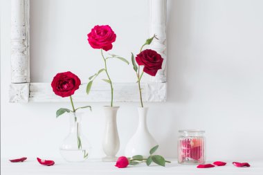 arka plan beyaz duvar bir vazoda kırmızı gül