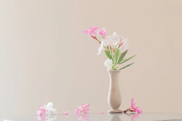 Pink flowers in a vase — Stock Photo, Image