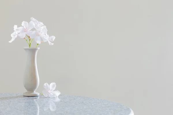 Fleurs blanches dans un vase — Photo