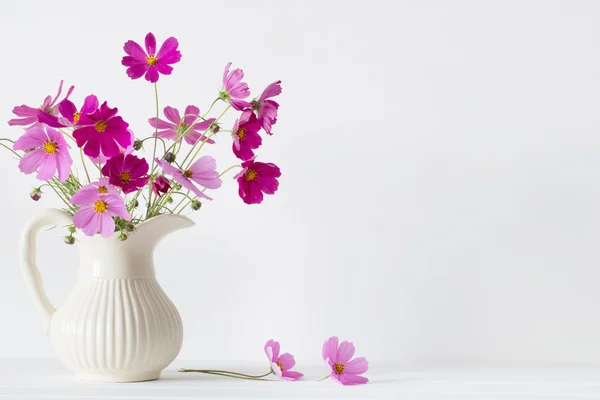 Fiori in un vaso su sfondo bianco — Foto Stock