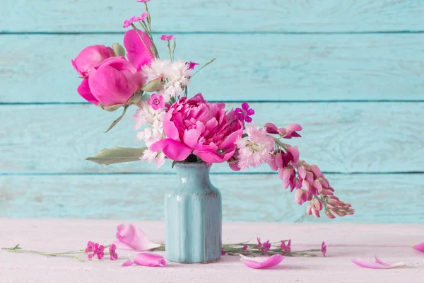 Pink peony on blue background — Stock Photo, Image