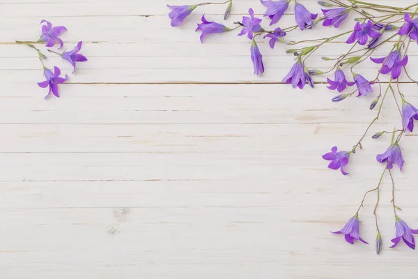 Bluebell flores om fondo de madera blanca — Foto de Stock