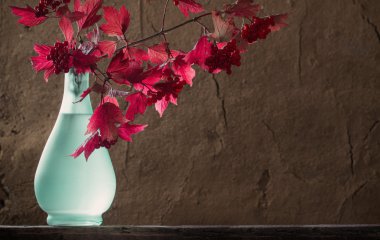 Kartopu dalları koyu arka plan üzerinde vazoda