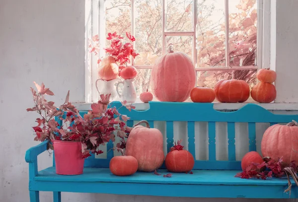 Pumpkins and berries on blue wooden bench indoor — Stock Photo, Image