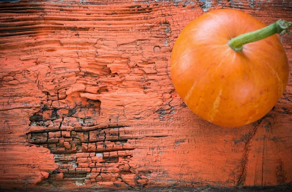 Zucca su sfondo di legno arancione — Foto Stock