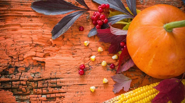 Fondo de madera de otoño con calabaza — Foto de Stock