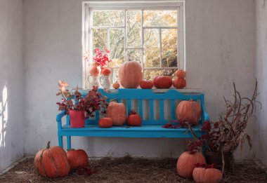 kabaklar mavi ahşap tezgah kapalı