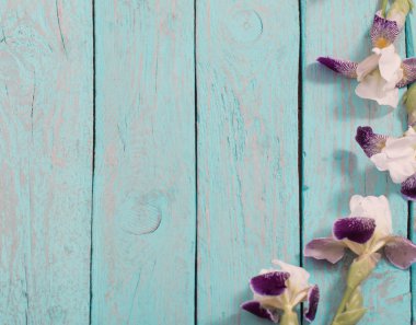 Iris mavi ahşap zemin üzerine