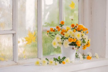 Sonbaharda cam kenarında vazoda kasımpatılar