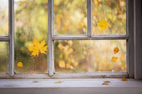 Vecchia Finestra Legno Bianco Con Gocce Pioggia Foglie Autunnali — Foto Stock