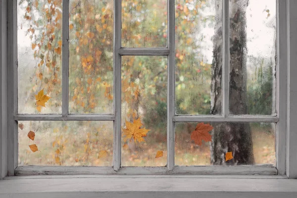 白色的旧木制窗户 上有雨滴和秋天的叶子 — 图库照片