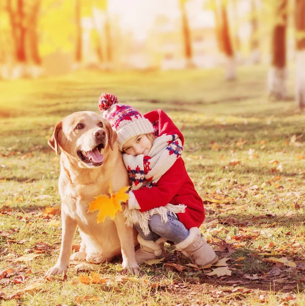 Niña Feliz Con Perro Parque Otoño — Foto de Stock