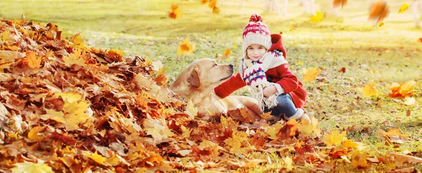 Glad Liten Flicka Med Hund Höstparken — Stockfoto