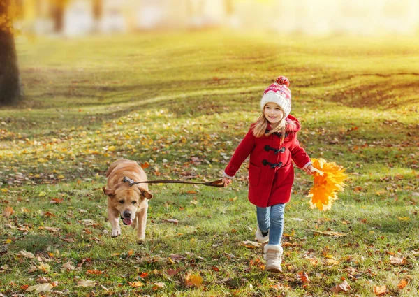 Glad Liten Flicka Med Hund Som Springer Höstparken — Stockfoto